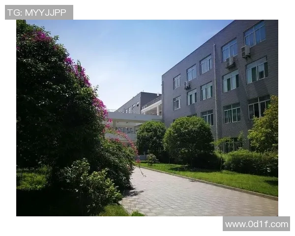 从错误中学习与成长在足球场上追求卓越的精神之旅 从错误中学习与成长在足球场上追求卓越的精神之旅