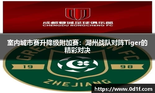室内城市赛升降级附加赛：湖州战队对阵Tiger的精彩对决
